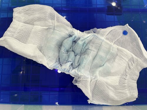 【最大吸水量】表示量以上に吸った！ ナチュラ 吸水ショーツおすすめ イメージ