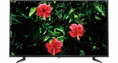 早くも完売多数の二代目ドンキ4K画質や音声などの基本性能はいかに