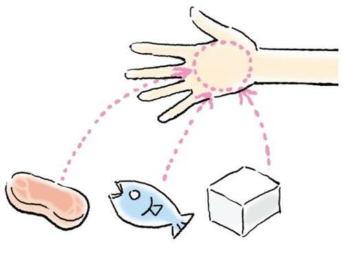 無理なくやせるには、たんぱく質とカロリーに注目!