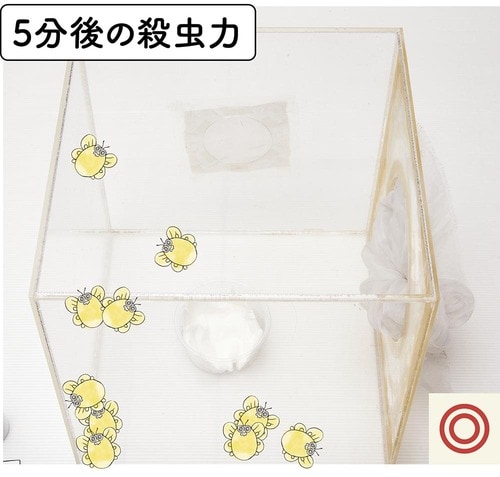 殺虫テスト実況レポート コバエ対策グッズおすすめ イメージ