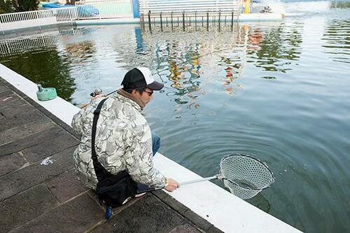 管理釣り場の主なメリット