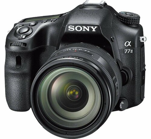 ソニー:α77 Ⅱ:一眼レフ:カメラ:型落ち