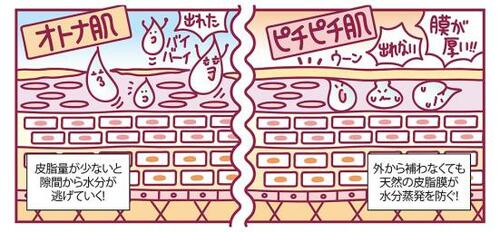 選び方1:保湿力 保湿化粧水おすすめ イメージ
