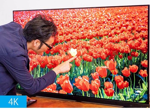 【画質】コントラストや発色、視覚野などを評価 4Kテレビおすすめ イメージ