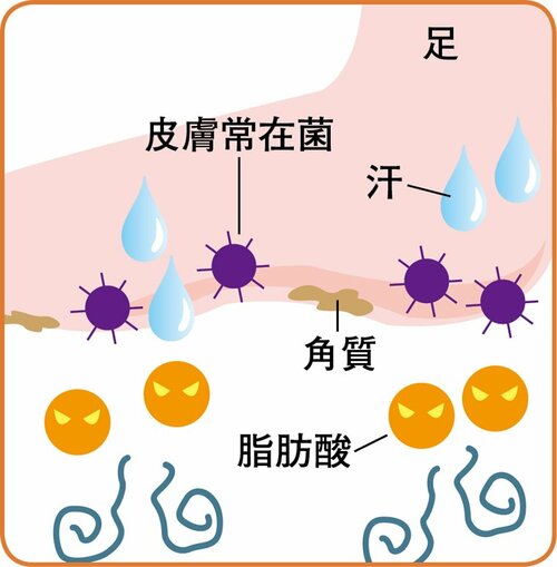 そもそもなんで臭うの? 「クサイ…」の原因を解明します イメージ4