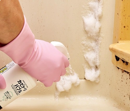 塩素系アルカリ性洗剤はカビなどの菌汚れに 掃除用洗剤おすすめ イメージ