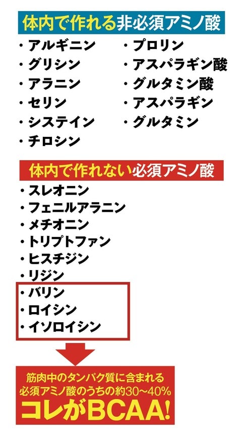 ▼使われるアミノ酸は全部で20種類 BCAAおすすめ イメージ