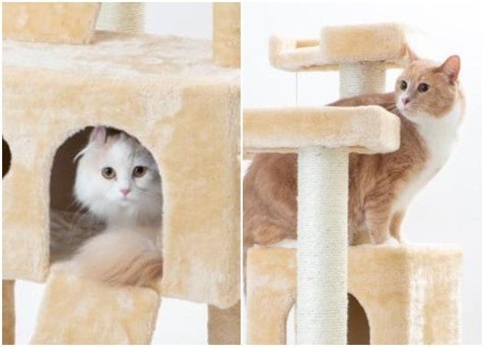 7000円で発見！ 愛猫がくつろげる“キャットタワー”はどっち？｜猫と『MONOQLO』が試してみました