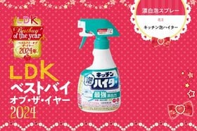 27年ぶりのリニューアルでさらに存在感。キッチン泡ハイターの王者っぷりを見よ【LDKベストバイ2024】