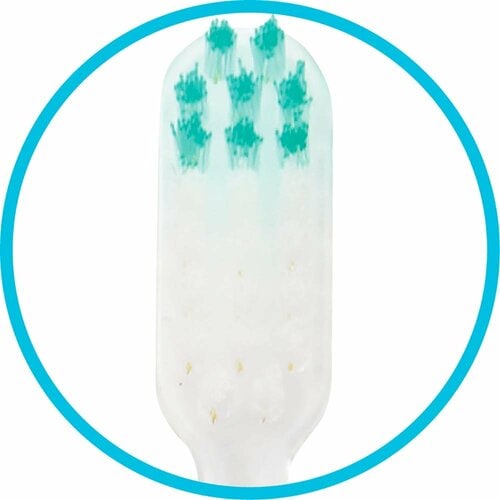 歯ブラシおすすめ ウエルシア 薄型スリムでしなるから奥の奥まで磨ける歯ブラシ ふつう イメージ3