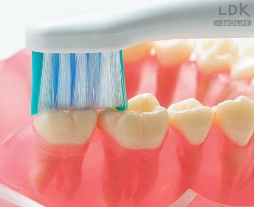 ポイント1:押し付けない、動かさない LDKベストバイ大人用電動歯ブラシおすすめ イメージ