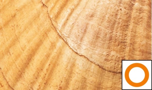 即効ホワイトニング力 ホワイトニングジェルおすすめ イメージ