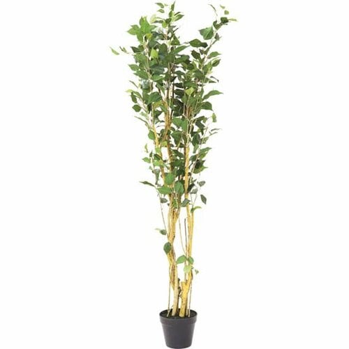 ⑯リアルすぎて見間違えるほど！ニトリのフェイクグリーン イメージ