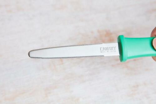 こちらのダンちゃんもおすすめです イメージ2