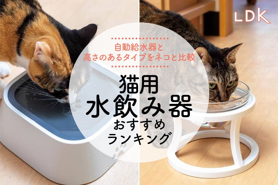 2024年】猫用水飲み器のおすすめランキング7選。LDKが陶器や自動給水器 ...
