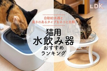 女性が喜ぶ DIYネコ脚(4本)①下地用 - 机/テーブル