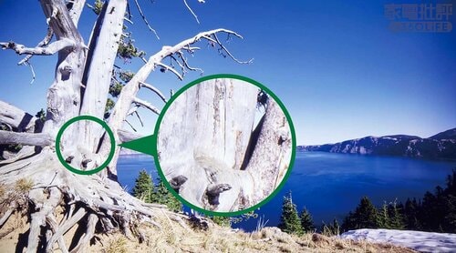 W95Bシリーズ 家電批評ベストバイオブザイヤーおすすめ イメージ