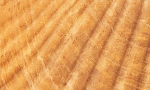 ホワイトニング前 ホワイトニングジェルおすすめ イメージ