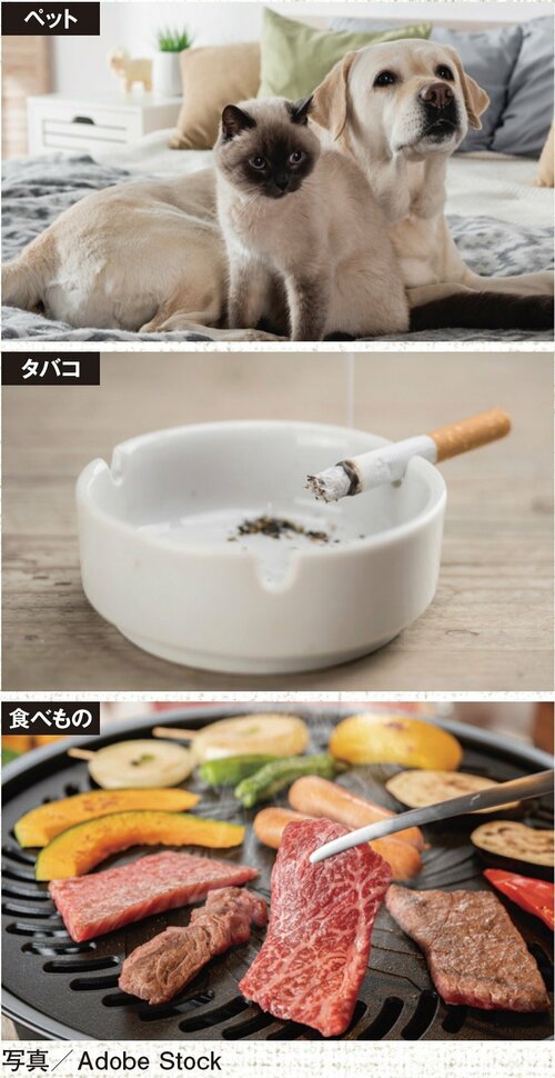 ペットやタバコや食事のニオイ……窓を開けるだけでは解決しません 脱臭機おすすめ イメージ