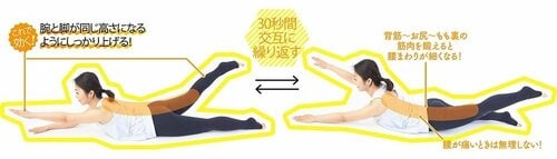 腕と脚が同じ高さになるようにしっかり上げる！ ズボラストレッチおすすめ イメージ2