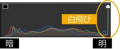 レタッチ用の撮影2