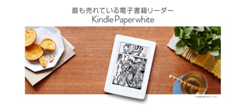 ［最終結論］即買いレベルの完成度 Kindleシリーズの最高傑作です！ イメージ2