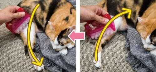 ポイント1:足先→体の中心→足先の順に動かす イメージ