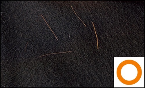 【使い勝手】 洋服ブラシおすすめ イメージ