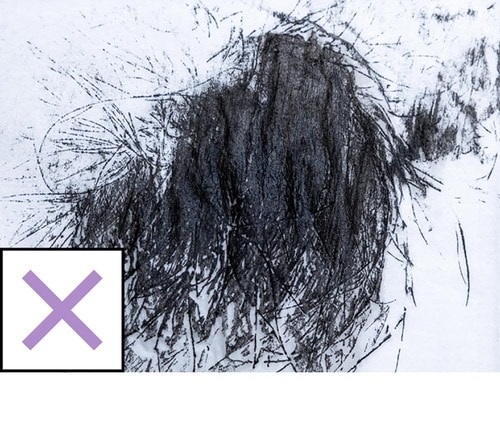 耐水性 増毛スプレーおすすめ イメージ