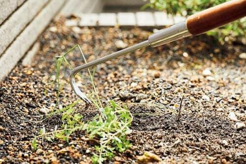 庭の草取りの救世主!「草取り器」4製品をテスト 草取り器おすすめ イメージ
