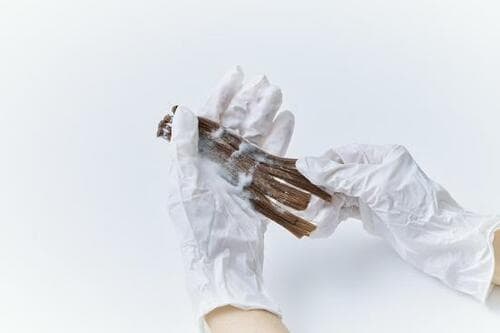 セルフカラー剤12製品を3つの項目でテスト イメージ2