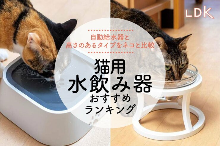 猫用水飲み器のおすすめランキング7選。LDKが陶器や自動給水器など人気製品を猫と比較