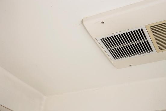 天井のカビは「スティックブラシ+カビキラー」で拭き取る