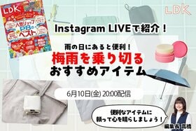 【6/10LDKインライ】濡れた折りたたみ傘はこのケースに入れよ！ 梅雨を快適に乗り切る便利グッズを紹介