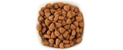 5位: 【62点】初乳成分配合で健康維持にお肉を使い高タンパクなのも良い イメージ2