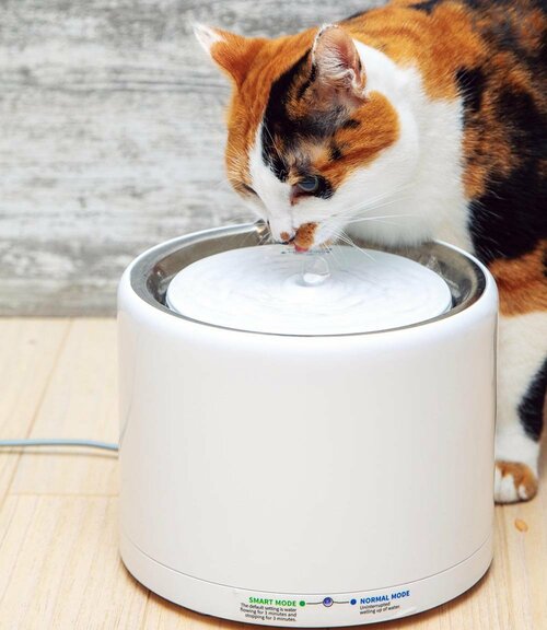 円筒形のスタイリッシュなデザイン 猫用水飲み器おすすめ イメージ
