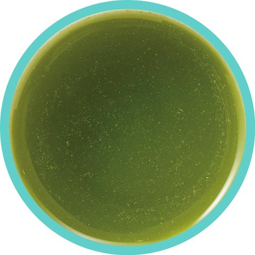 青汁おすすめ アサヒグループ食品 フルーツ酵素青汁 イメージ2