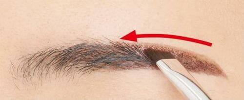 眉ナシさんでも安心!消えない眉の描き方10ステップ アイブロウおすすめ イメージ12