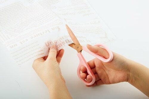 C評価: 【C評価】手間のかかるカットせめてサイズガイドは欲しい