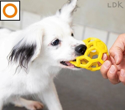 選び方1:犬の口からハミ出す製品を選ぶ 犬用おもちゃおすすめ イメージ2