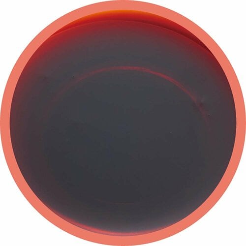 髪の補修成分が豊富 ダリヤ「サロン ド プロ カラーシャンプー ナチュラルブラウン」 カラーシャンプーおすすめ イメージ2
