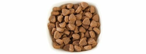 【75点】問題ある成分ゼロの優等生子ネコの健康にも配慮した逸品 イメージ