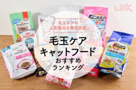 【2025年】毛玉ケア・キャットフードおすすめランキング12選。信頼性や原材料などをLDKが比較