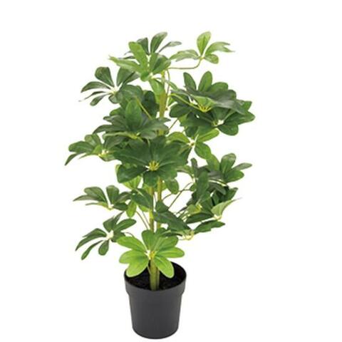 フェイクグリーン はニトリで買えば間違いない理由 Monoqlo がヤラせなしで検証レビュー 360life サンロクマル