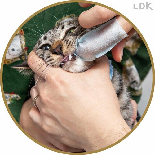 指サックタイプで磨きやすい 猫用歯磨きシートおすすめ イメージ