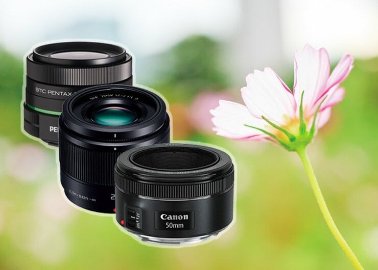 「ふわっと背景ぼかせます」初心者でも楽しめる交換レンズ10選