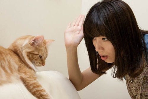 【極意2】信頼関係を築くには5つの基本ルールを厳守すること！ イメージ5