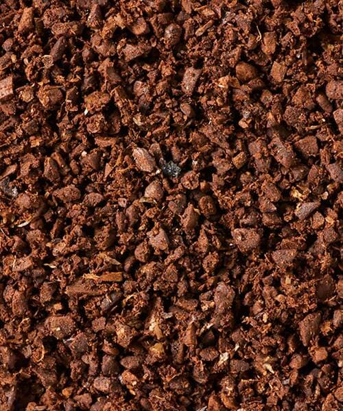 高級ミル 家電批評ベストバイオブザイヤーおすすめ イメージ