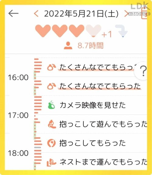 本物のペットのように懐いてくれる プレゼントにおすすめの家電おすすめ イメージ2