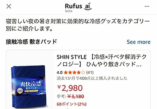 2：さらに詳細なプロンプトを入力 イメージ2